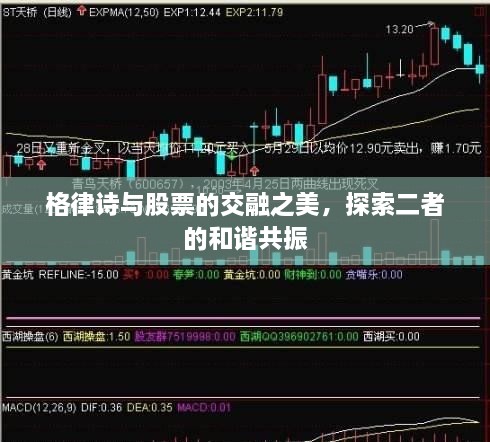 格律詩與股票的交融之美，探索二者的和諧共振