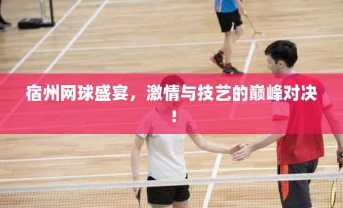 宿州網(wǎng)球盛宴，激情與技藝的巔峰對(duì)決！