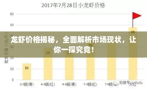龍蝦價(jià)格揭秘，全面解析市場(chǎng)現(xiàn)狀，讓你一探究竟！