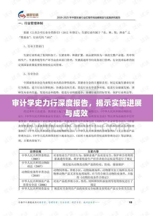 審計(jì)學(xué)史力行深度報(bào)告，揭示實(shí)施進(jìn)展與成效