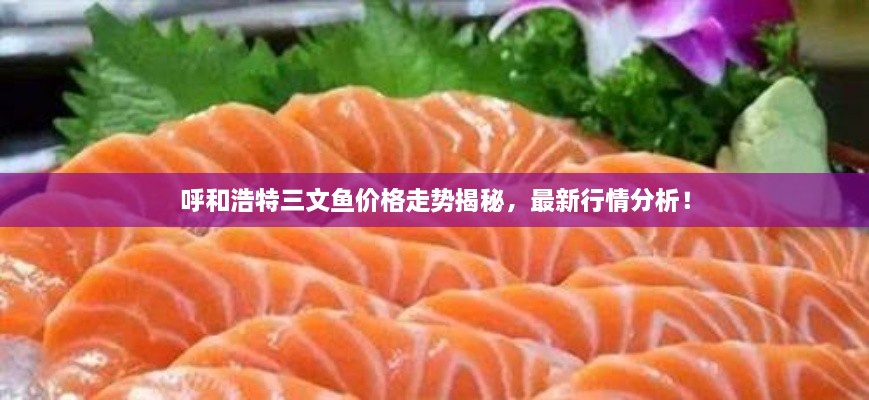 呼和浩特三文魚價(jià)格走勢(shì)揭秘，最新行情分析！