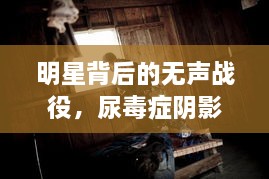 明星背后的無聲戰(zhàn)役，尿毒癥陰影下的星光挑戰(zhàn)