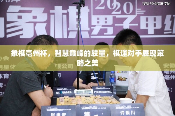 象棋亳州杯，智慧巔峰的較量，棋逢對(duì)手展現(xiàn)策略之美