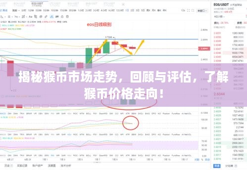 揭秘猴幣市場走勢，回顧與評估，了解猴幣價格走向！