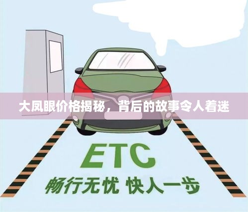 大鳳眼價格揭秘，背后的故事令人著迷