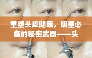 重塑頭皮健康，明星必備的秘密武器——頭皮精華