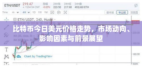 比特幣今日美元價(jià)格走勢(shì)，市場(chǎng)動(dòng)向、影響因素與前景展望