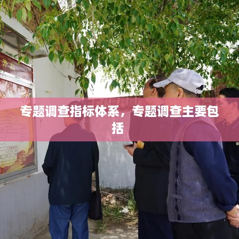 專題調查指標體系，專題調查主要包括 