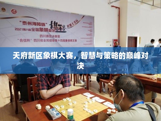 天府新區(qū)象棋大賽，智慧與策略的巔峰對(duì)決
