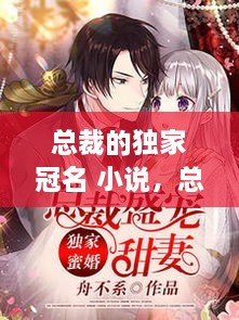 總裁的獨(dú)家冠名 小說，總裁的獨(dú)家盛寵全文免費(fèi)閱讀 