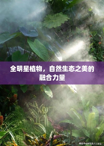 全明星植物，自然生態(tài)之美的融合力量
