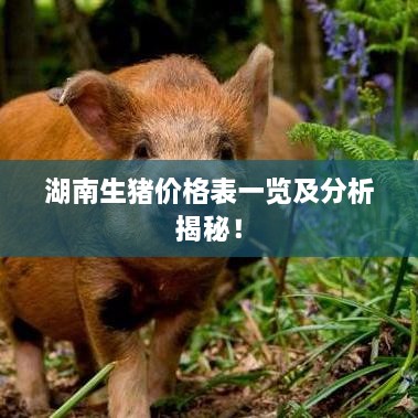 湖南生豬價(jià)格表一覽及分析揭秘！
