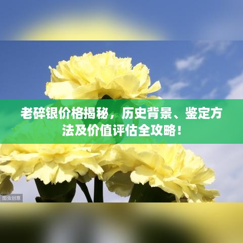 老碎銀價(jià)格揭秘，歷史背景、鑒定方法及價(jià)值評(píng)估全攻略！