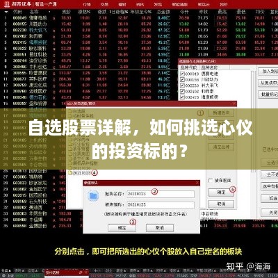 自選股票詳解，如何挑選心儀的投資標(biāo)的？