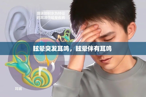 眩暈突發(fā)耳鳴，眩暈伴有耳鳴 
