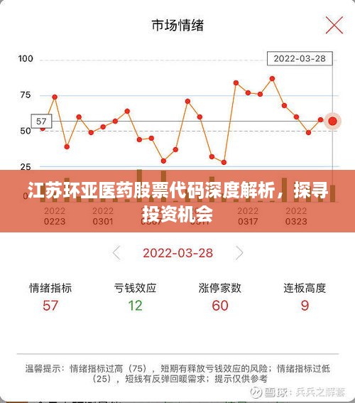 江蘇環(huán)亞醫(yī)藥股票代碼深度解析，探尋投資機(jī)會(huì)