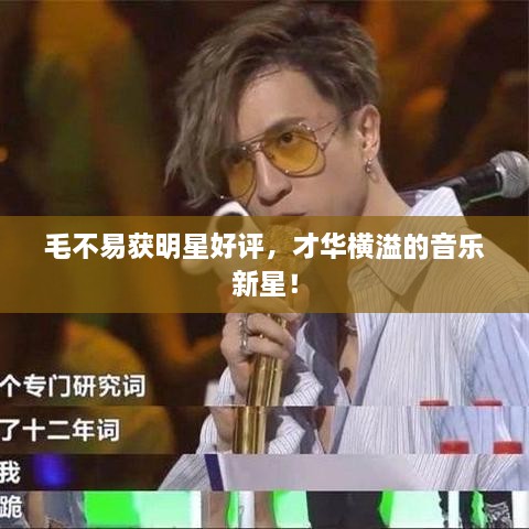 毛不易獲明星好評(píng)，才華橫溢的音樂(lè)新星！