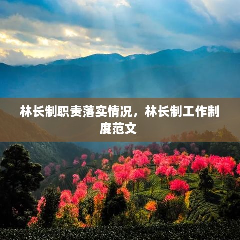 林長制職責落實情況，林長制工作制度范文 