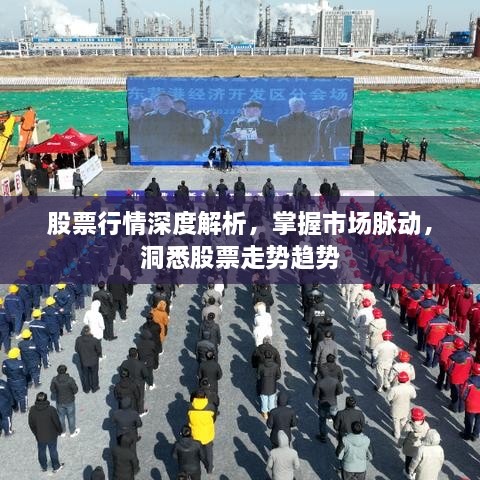 股票行情深度解析，掌握市場(chǎng)脈動(dòng)，洞悉股票走勢(shì)趨勢(shì)