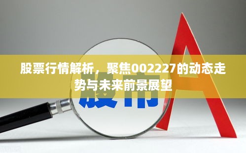 股票行情解析，聚焦002227的動態(tài)走勢與未來前景展望