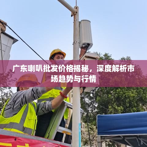 廣東喇叭批發(fā)價格揭秘，深度解析市場趨勢與行情