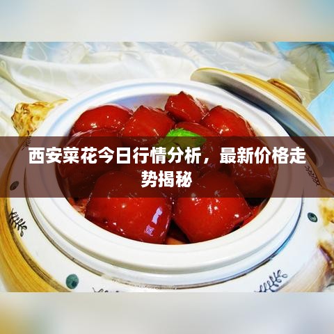 西安菜花今日行情分析，最新價(jià)格走勢(shì)揭秘