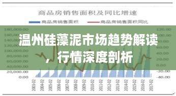 溫州硅藻泥市場趨勢解讀，行情深度剖析
