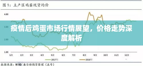 疫情后雞蛋市場行情展望，價格走勢深度解析