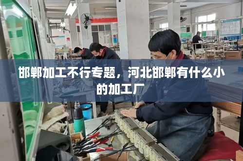邯鄲加工不行專題，河北邯鄲有什么小的加工廠 