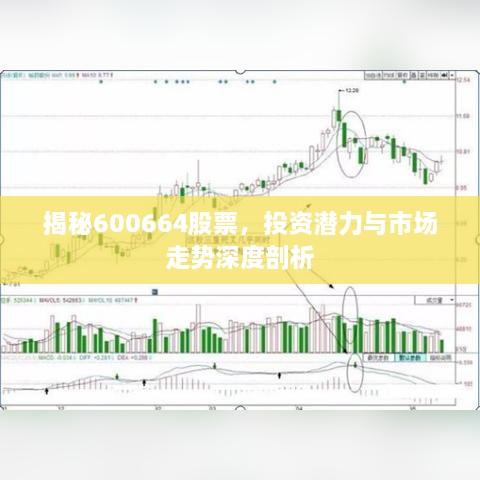 揭秘600664股票，投資潛力與市場走勢深度剖析