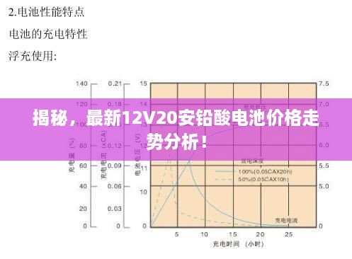 揭秘，最新12V20安鉛酸電池價格走勢分析！