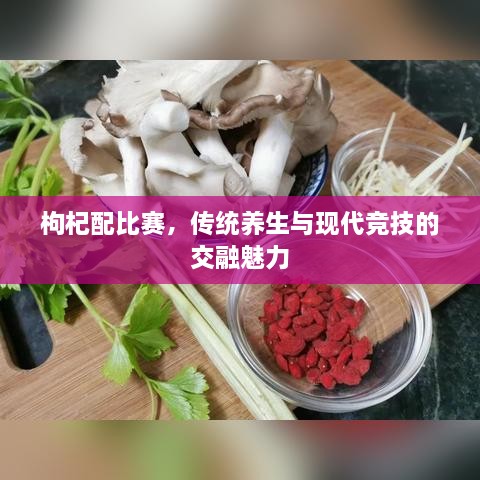 解決方案 第171頁(yè)