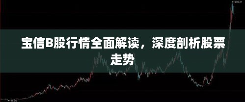 寶信B股行情全面解讀，深度剖析股票走勢