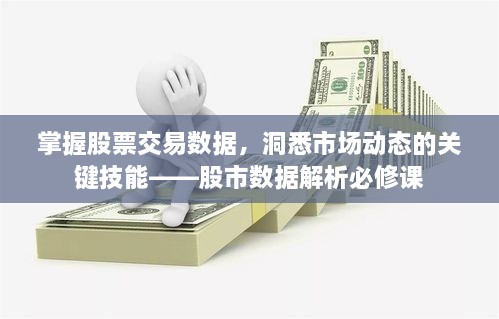 掌握股票交易數據，洞悉市場動態(tài)的關鍵技能——股市數據解析必修課