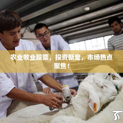 農(nóng)業(yè)牧業(yè)股票，投資新寵，市場熱點聚焦！