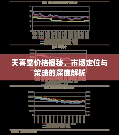 天喜堂價格揭秘，市場定位與策略的深度解析