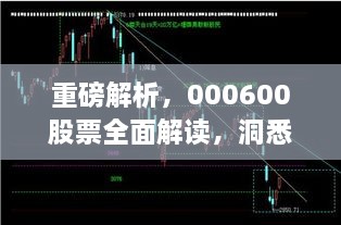 重磅解析，000600股票全面解讀，洞悉投資趨勢！