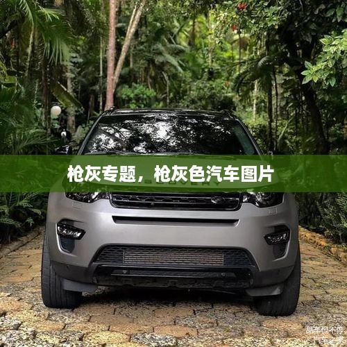 槍灰專題，槍灰色汽車圖片 