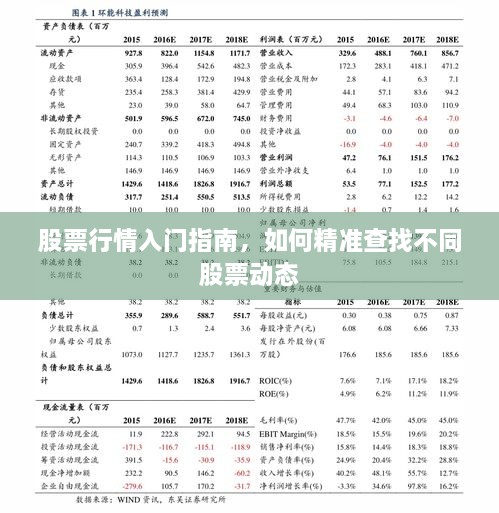 股票行情入門指南，如何精準查找不同股票動態(tài)