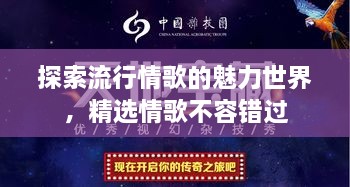 探索流行情歌的魅力世界，精選情歌不容錯(cuò)過(guò)