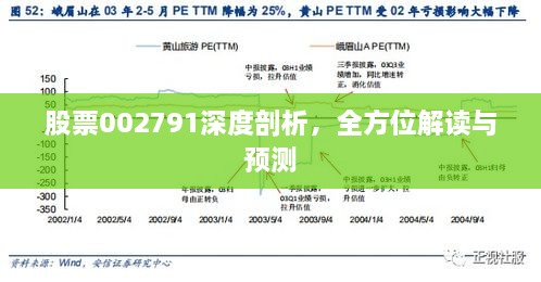 股票002791深度剖析，全方位解讀與預(yù)測