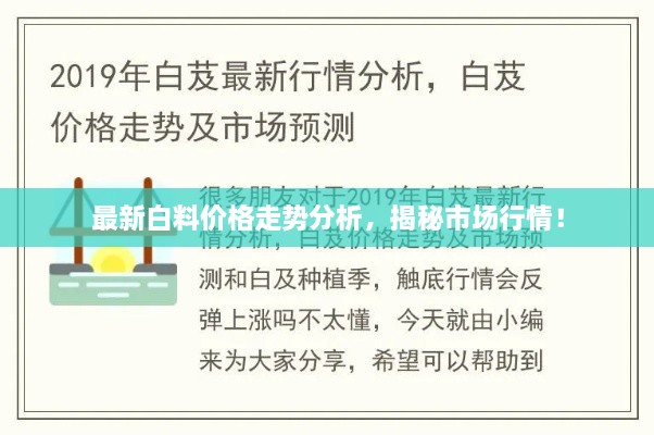 最新白料價格走勢分析，揭秘市場行情！