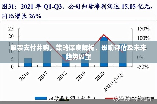股票支付并購，策略深度解析、影響評估及未來趨勢展望