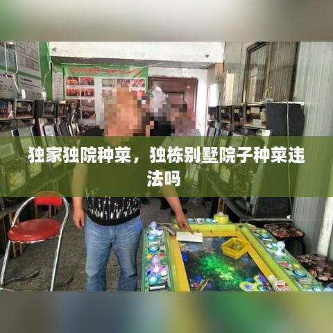 獨(dú)家獨(dú)院種菜，獨(dú)棟別墅院子種菜違法嗎 