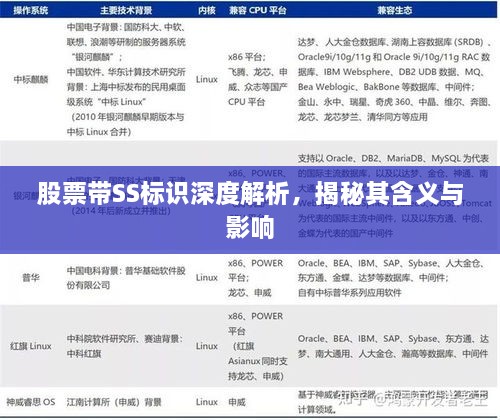 股票帶SS標(biāo)識(shí)深度解析，揭秘其含義與影響