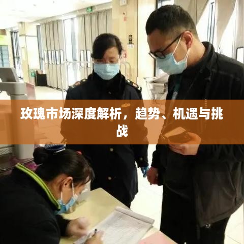 玫瑰市場深度解析，趨勢、機遇與挑戰(zhàn)
