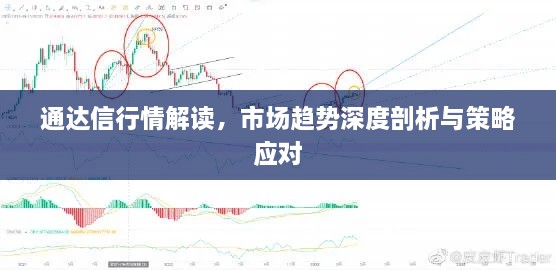 通達信行情解讀，市場趨勢深度剖析與策略應(yīng)對