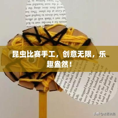 昆蟲比賽手工，創(chuàng)意無限，樂趣盎然！