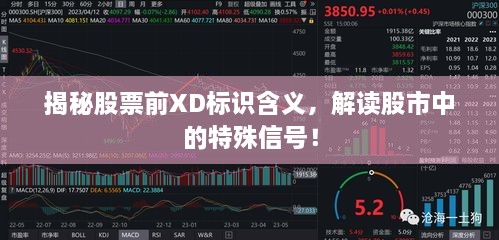 揭秘股票前XD標(biāo)識含義，解讀股市中的特殊信號！