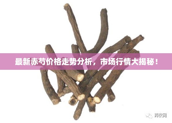 最新赤芍價格走勢分析，市場行情大揭秘！